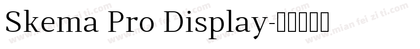 Skema Pro Display字体转换
